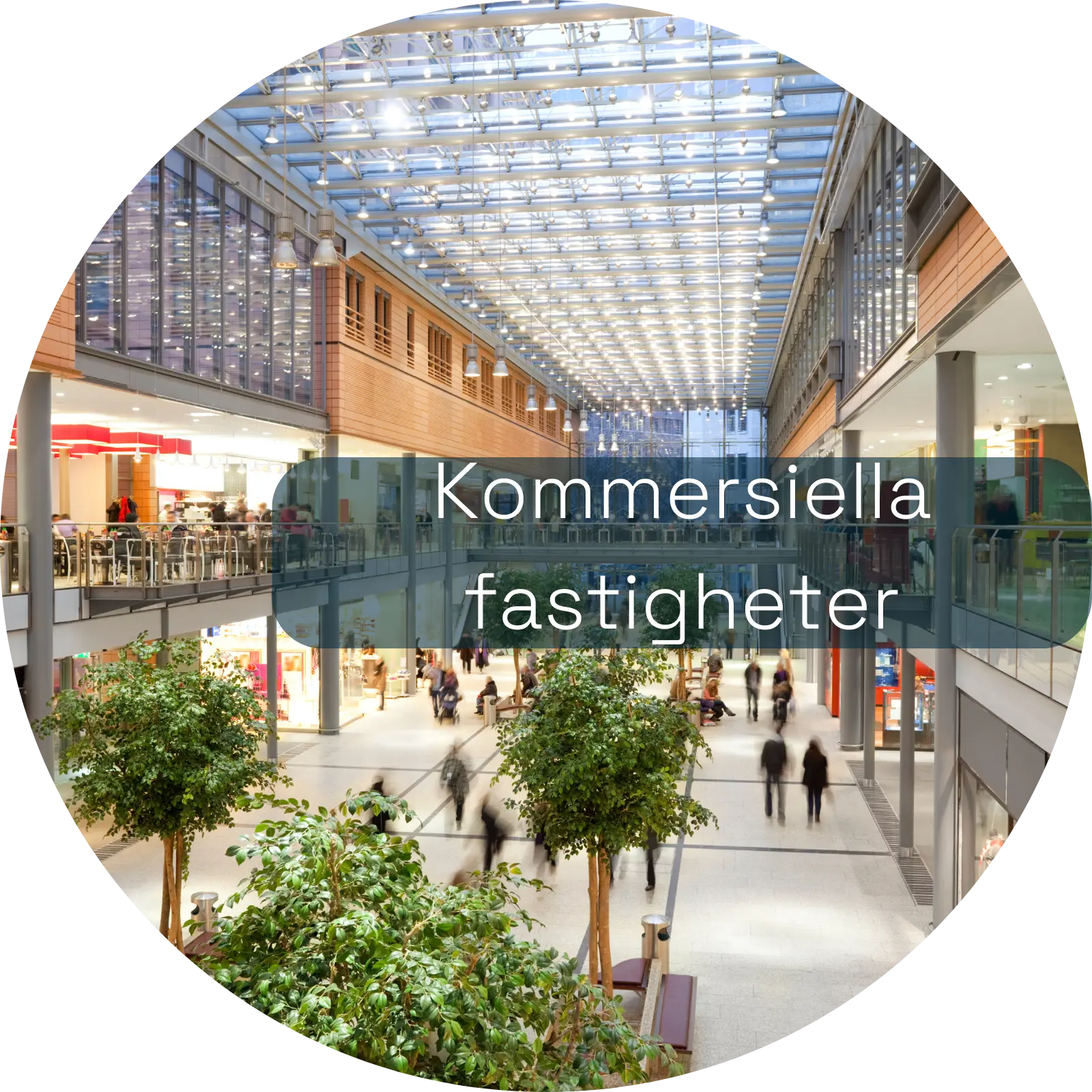 ett varuhus inom kommersiella fastigheter